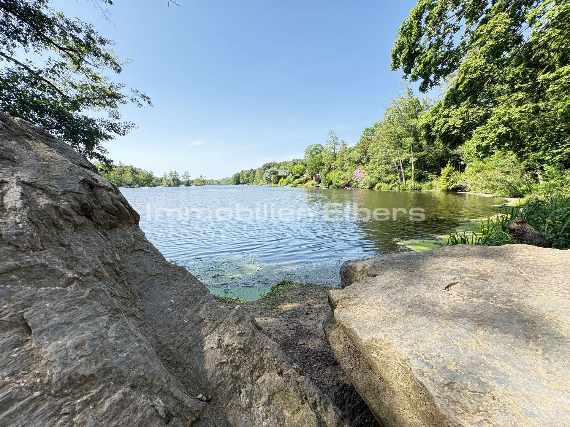 Hariksee